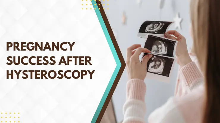 Pregnancy Success after Hysteroscopy