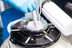 Embryo Cryopreservation